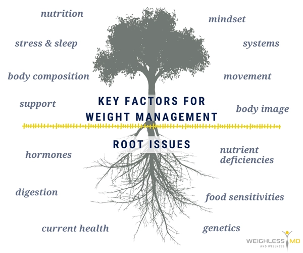 Weight Loss Kenosha WI Key Factors For Weight Management And Root Issues